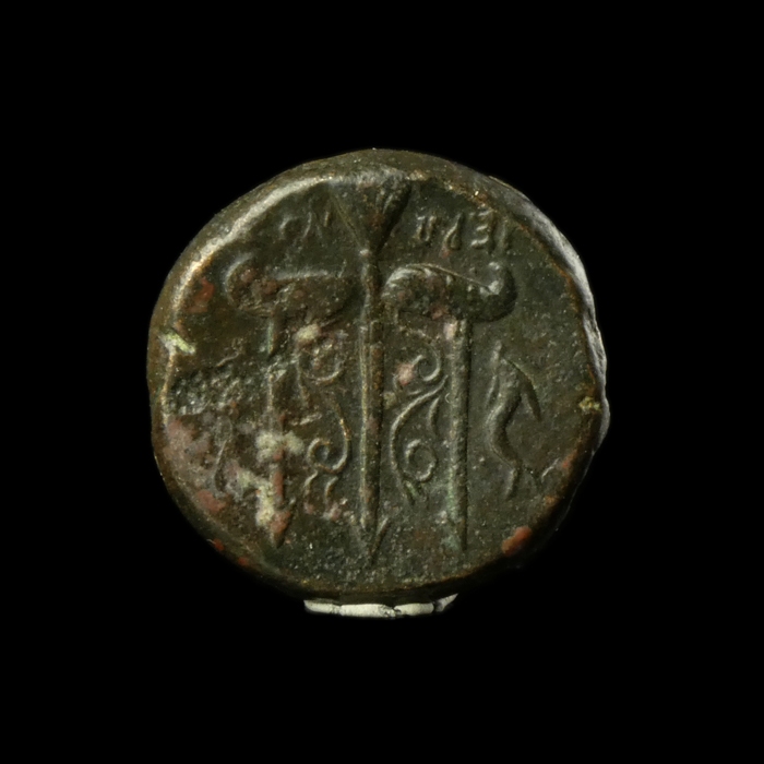Ancient Greece, Sicily, Syracuse, Æ 19, Hieron II