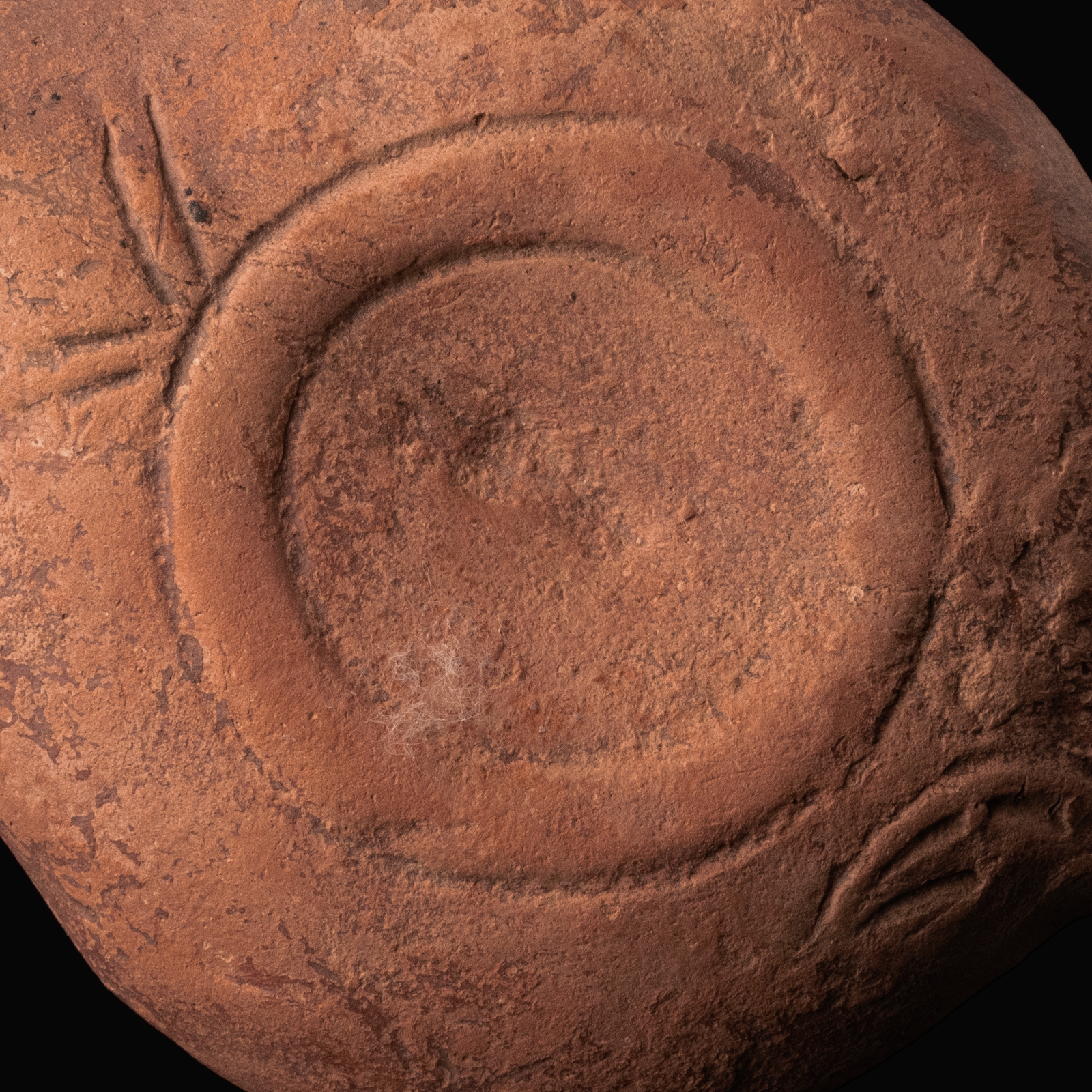 Ancient Roman Terracotta Oil Lamp with Grapevines