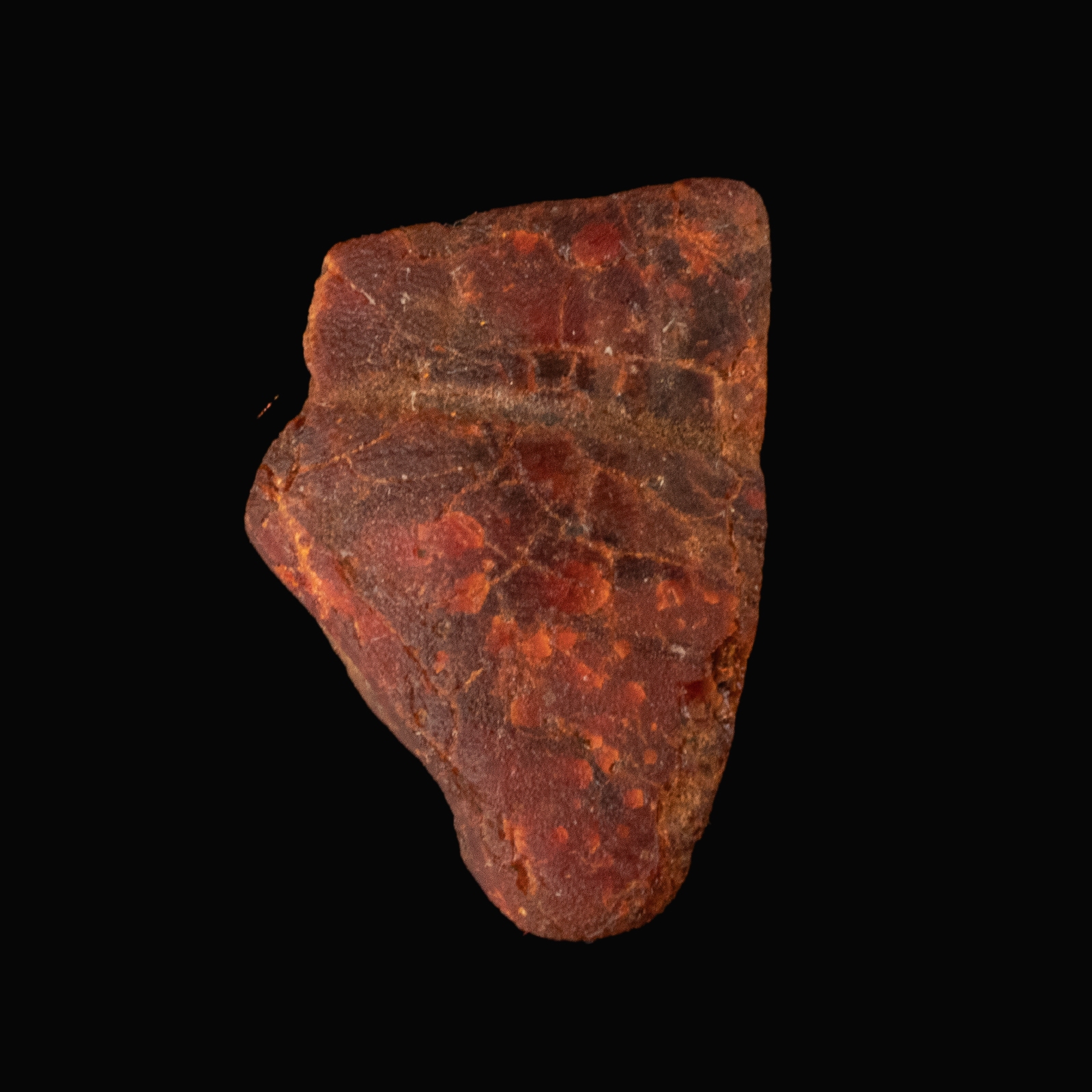 Celtic - Roman amber bead