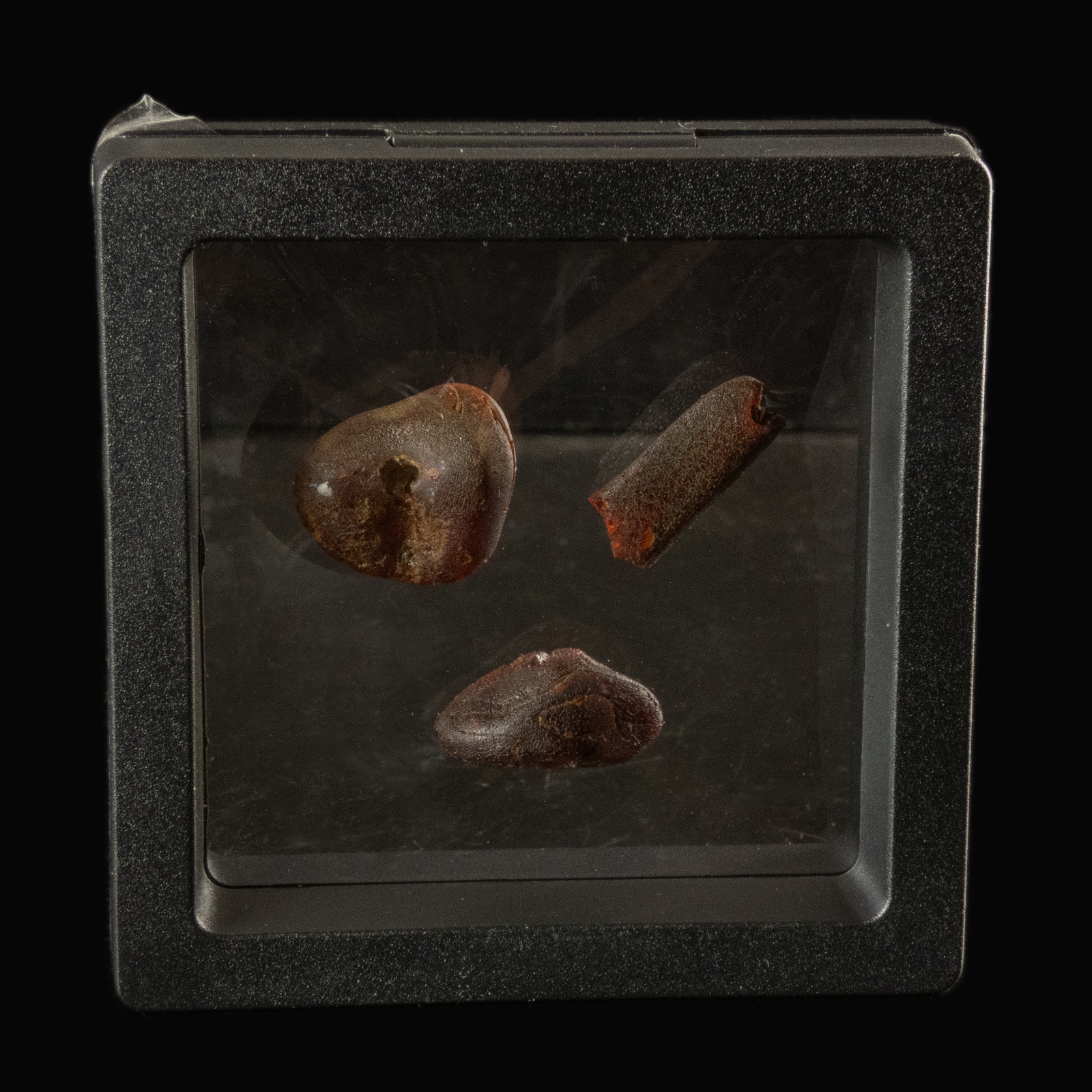 Collection of 3 Roman amber beads in display window