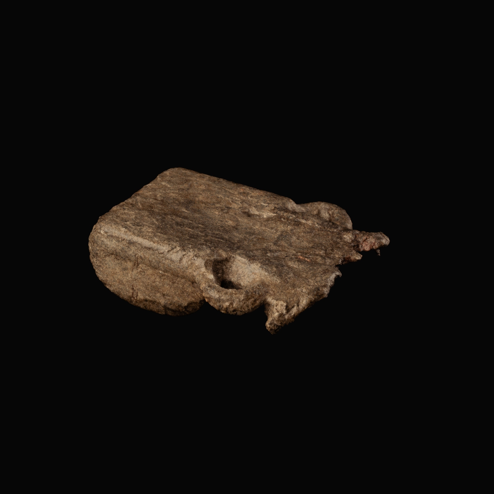 Medieval Lead Pilgrim's Ampulla with Fleur-de-Lis
