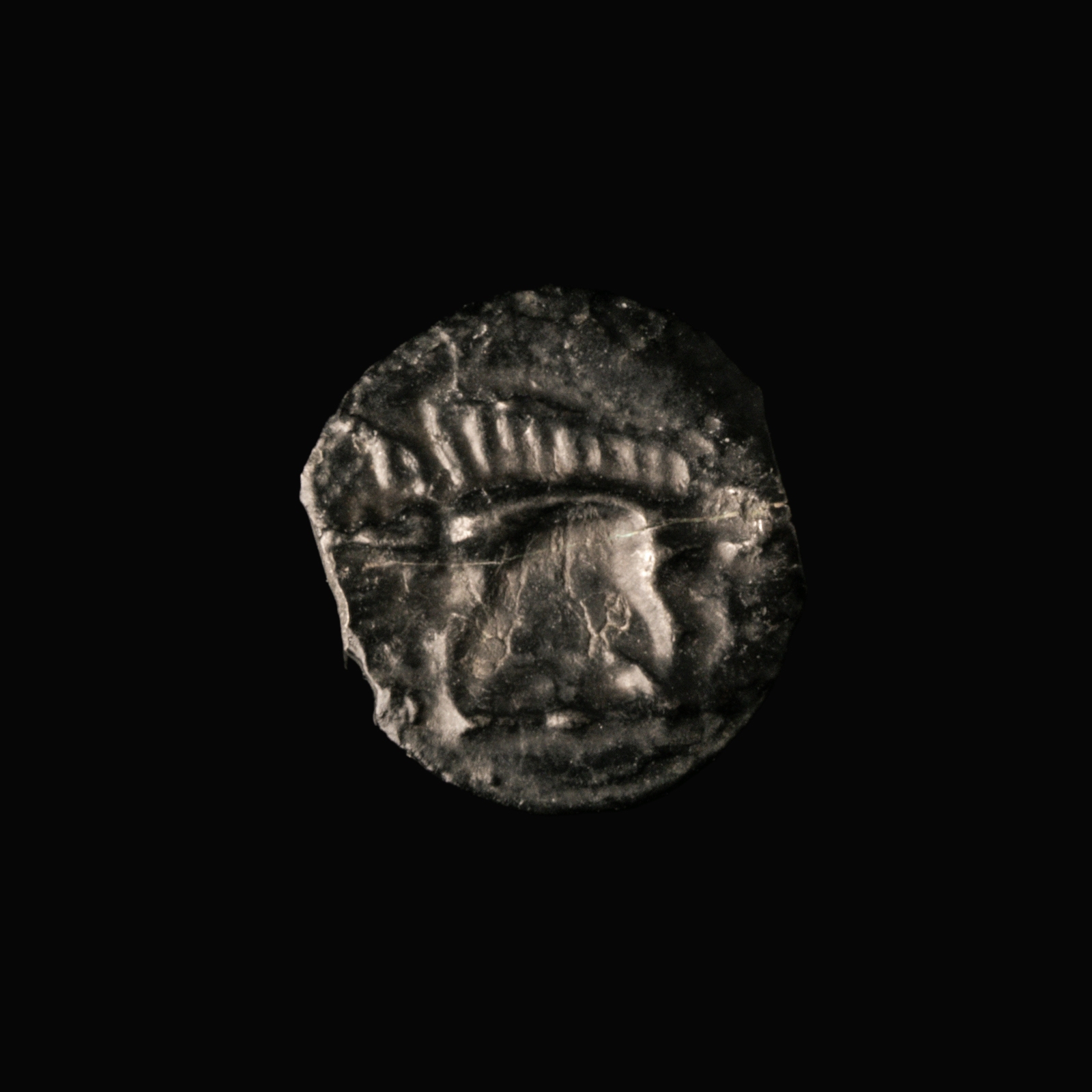 Northeast Gaul, Leuci tribe, Potin