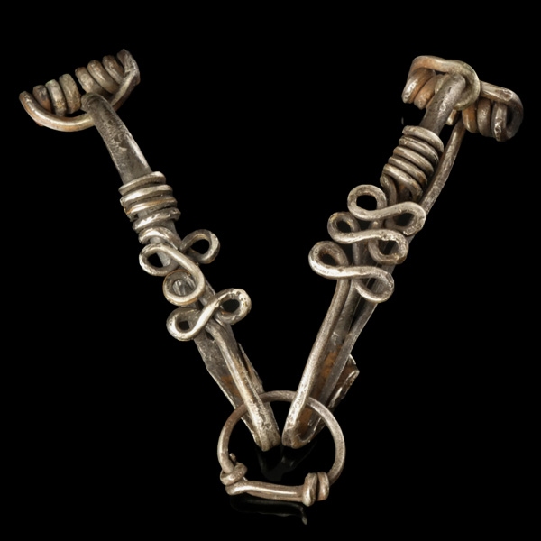 Fibulae
